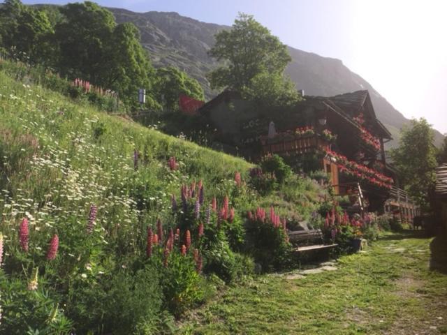 Le P'Tit Coin Montagne Διαμέρισμα Bonneval-sur-Arc Εξωτερικό φωτογραφία
